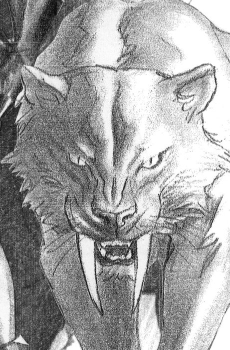 BLACK CAT #2 ALEX ROSS TIMELESS VIRGIN SKETCH VARIANT