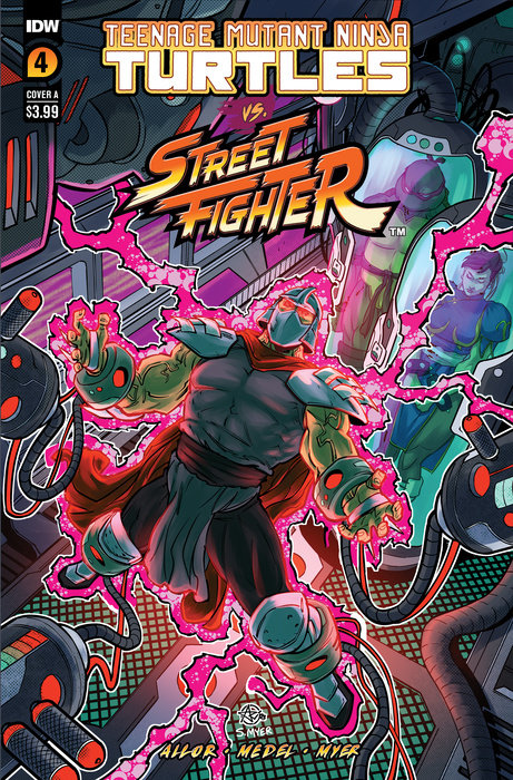 Teenage Mutant Ninja Turtles Vs. Street Fighter #4 Cover A (Medel)