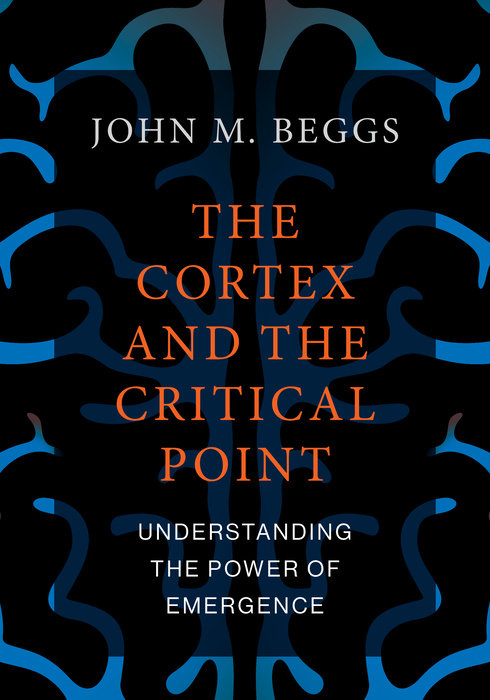 The Cortex and the Critical Point