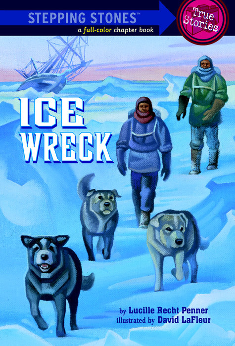 Ice Wreck