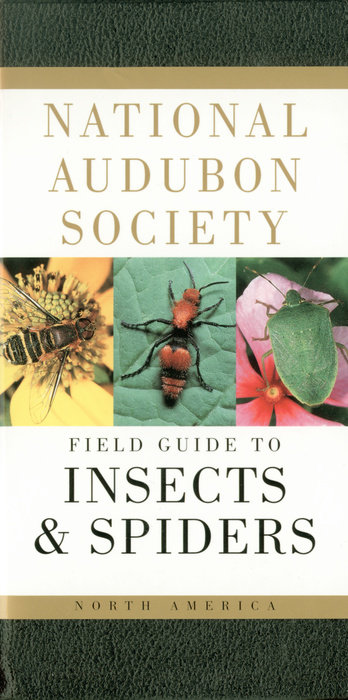 National Audubon Society Field Guide to Insects and Spiders