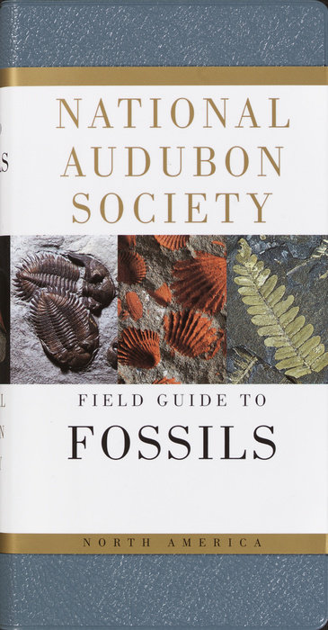 National Audubon Society Field Guide to Fossils