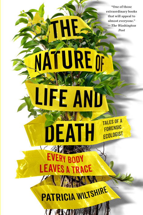 The Nature of Life and Death