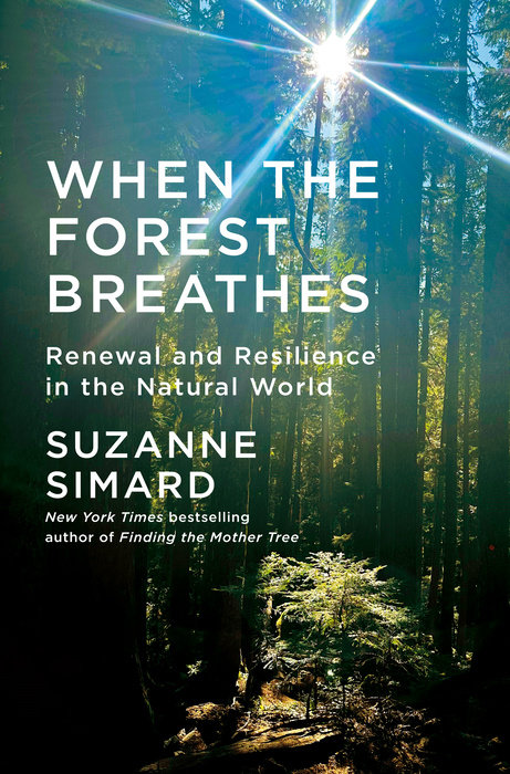 When the Forest Breathes