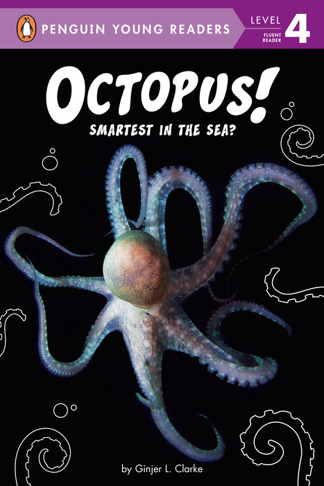 Octopus!