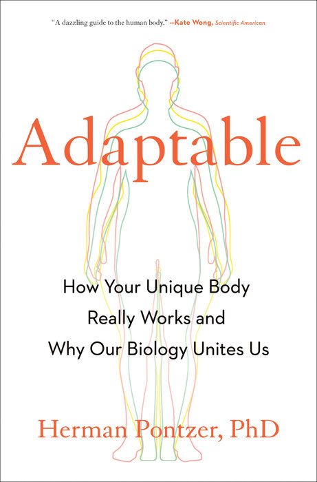 Adaptable