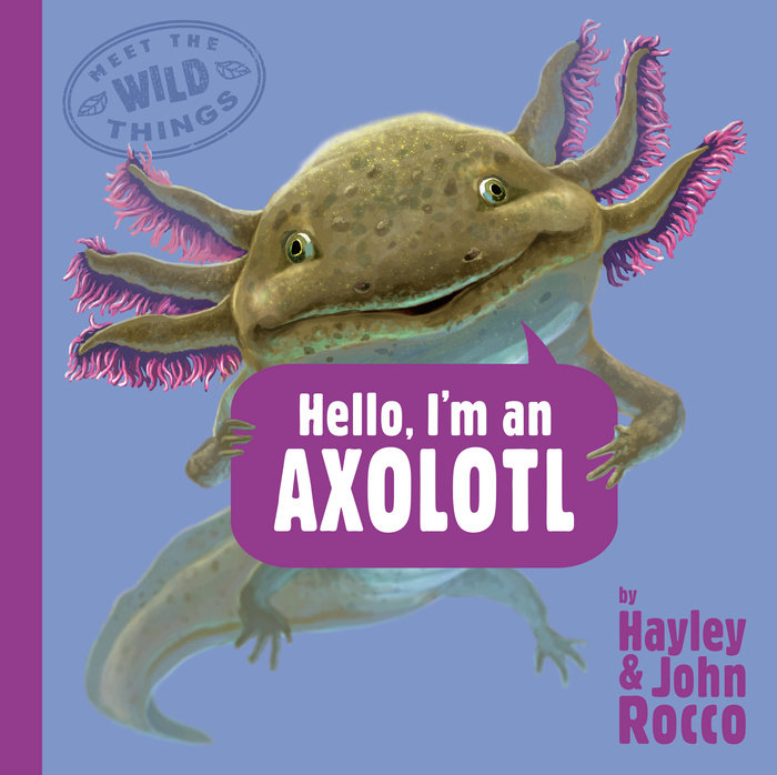 Hello, I'm an Axolotl (Meet the Wild Things, Book 4)