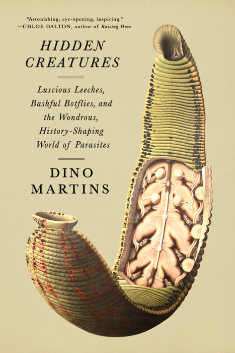 Hidden Creatures