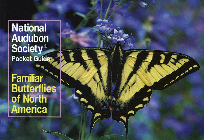 National Audubon Society Pocket Guide: Familiar Butterflies of North America