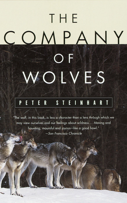 The Company of Wolves