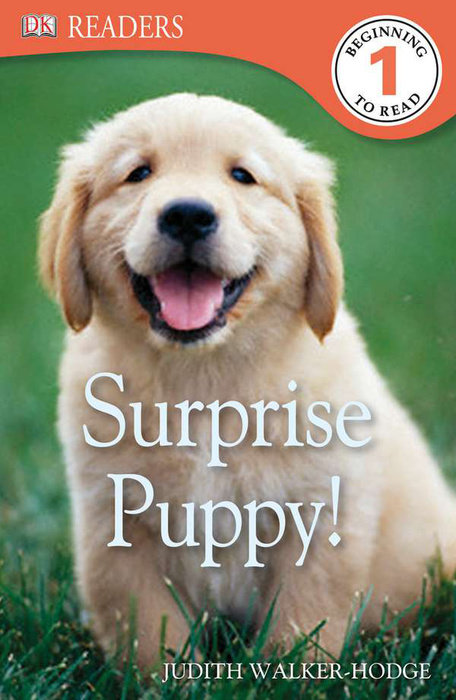 DK Readers L1: Surprise Puppy