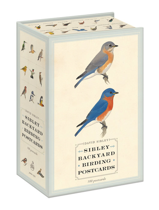 Sibley Backyard Birding Postcards