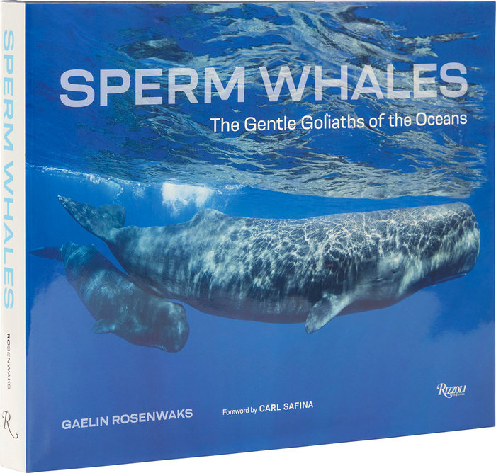 Sperm Whales