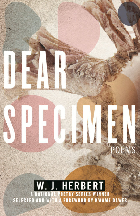 Dear Specimen