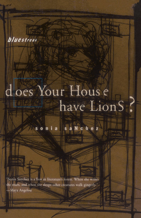 Does Your House Have Lions?