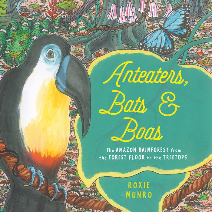 Anteaters, Bats & Boas