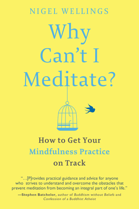 Why Can't I Meditate?