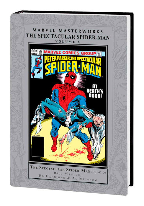 MARVEL MASTERWORKS: THE SPECTACULAR SPIDER-MAN VOL. 6