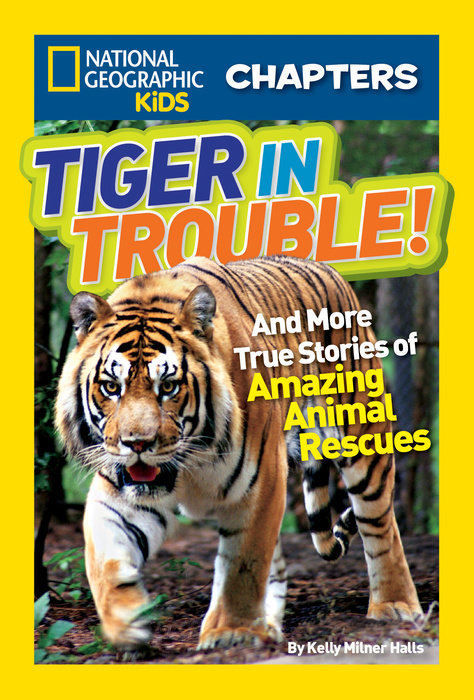 National Geographic Kids Chapters: Tiger in Trouble!