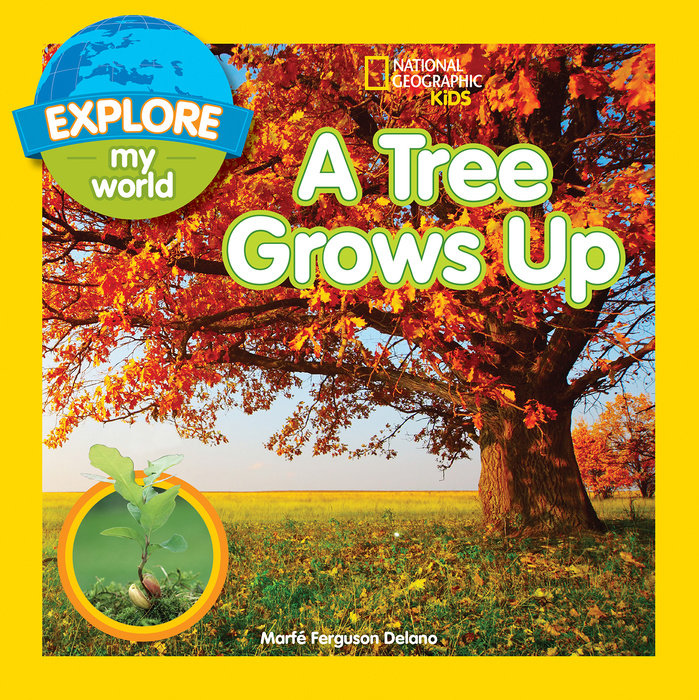 Explore My World A Tree Grows Up
