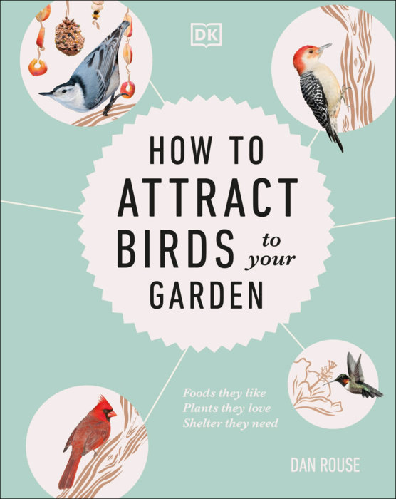 How to Attract Birds to Your Garden