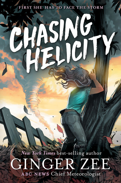 Chasing Helicity: Chasing Helicity-Chasing Helicity, Book 1