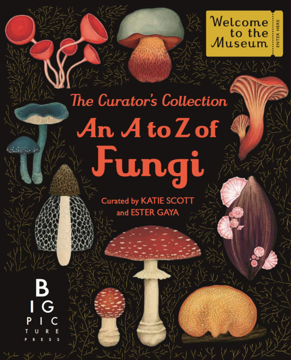 The Curator's Collection: An A to Z of Fungi