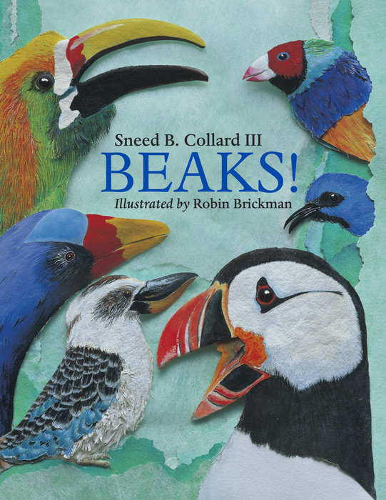 Beaks!