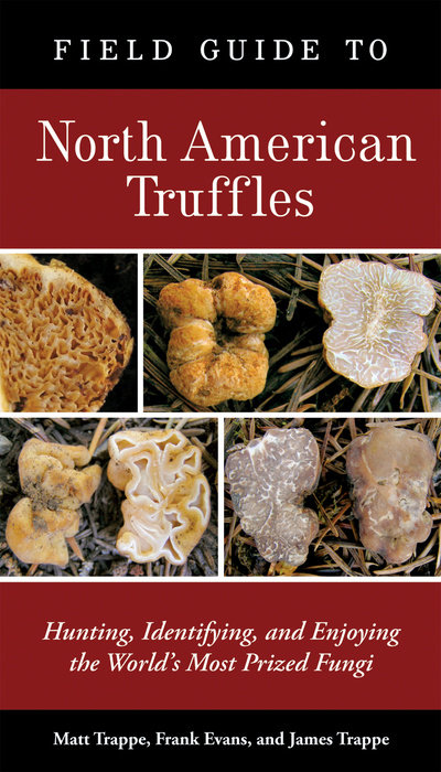 Field Guide to North American Truffles