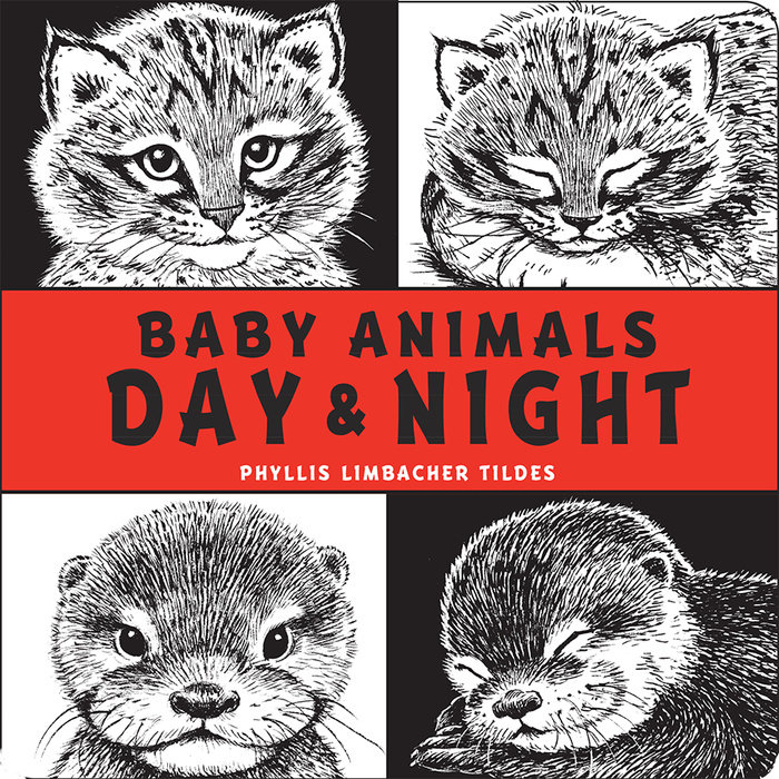 Baby Animals Day & Night