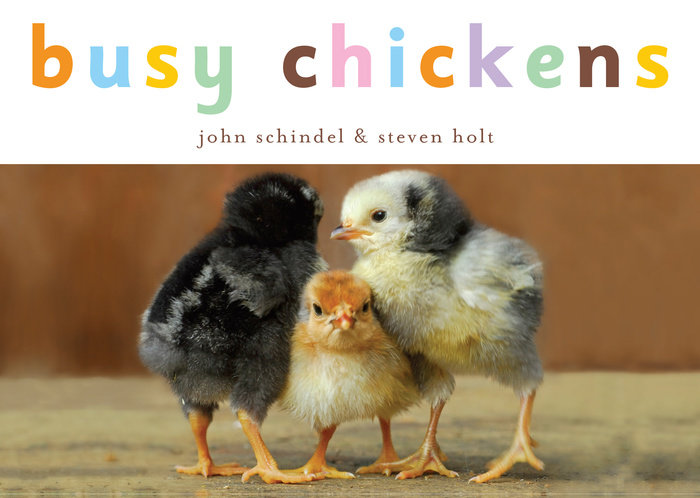 Busy Chickens