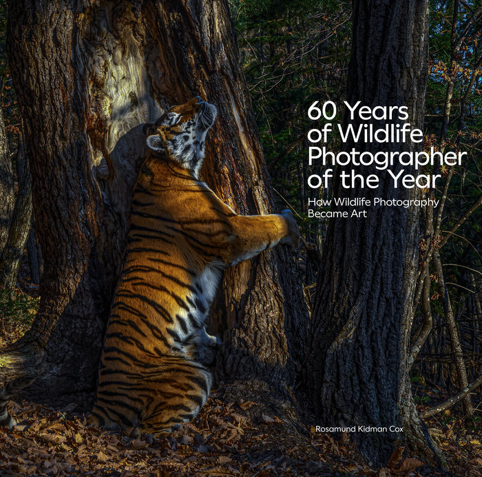 60 Years of Wildlife Photographer of the Year