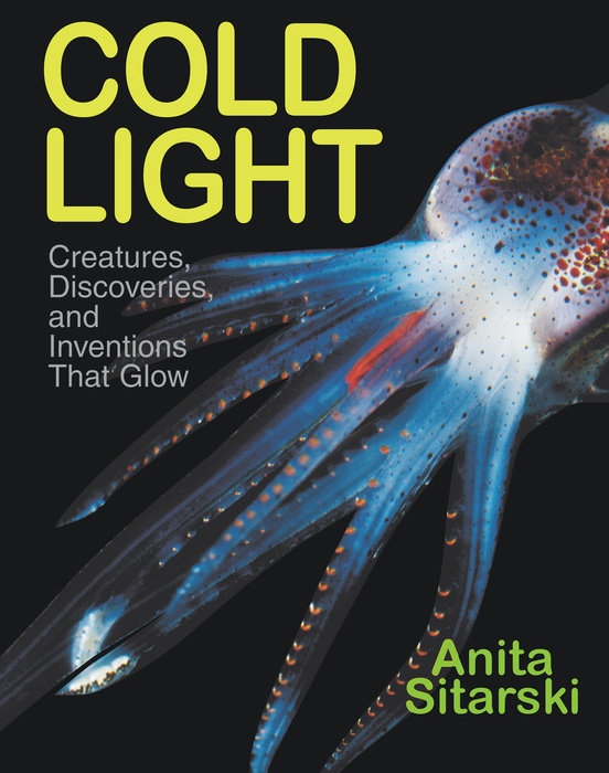 Cold Light By Anita Sitarski