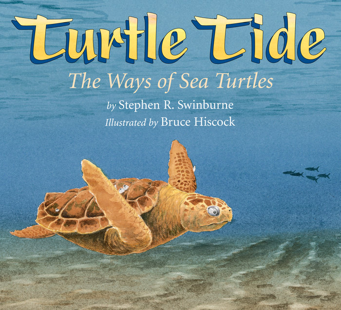 Turtle Tide By Stephen R. Swinburne; Illustrated by Bruce Hiscock