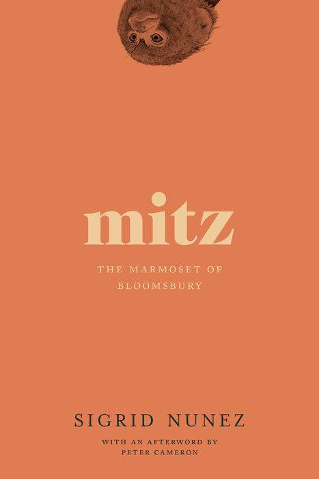 Mitz