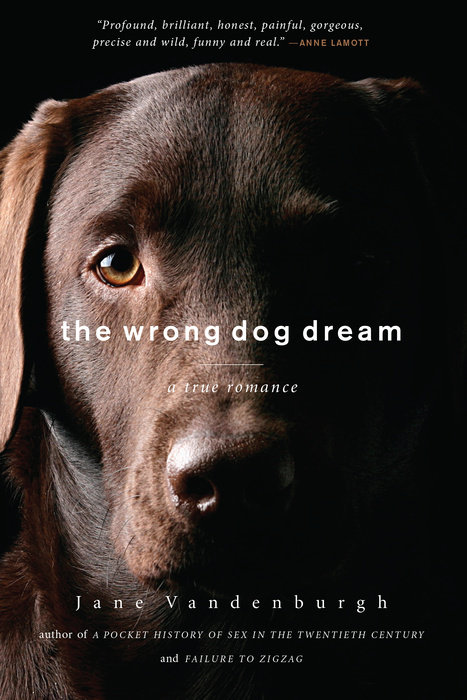 The Wrong Dog Dream