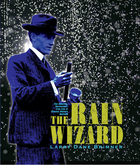 The Rain Wizard By Larry Dane Brimner