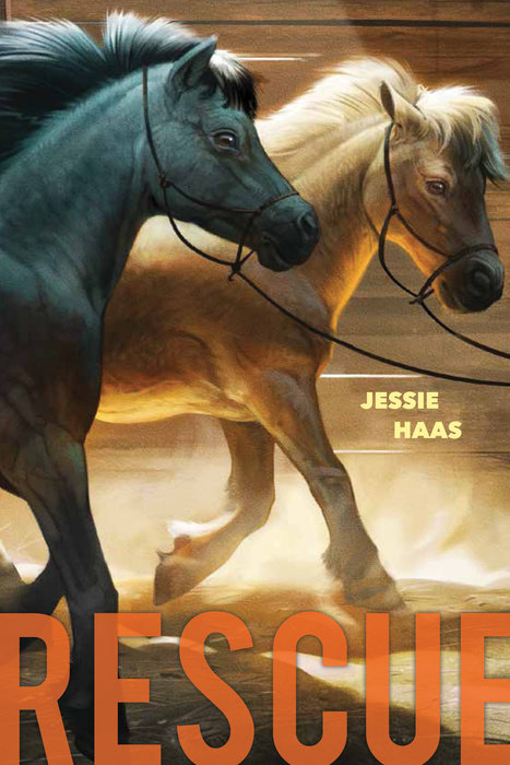 Rescue By Jessie Haas