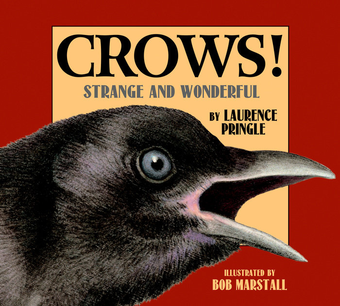 Crows! By Laurence Pringle; Illustrated by Bob Marstall