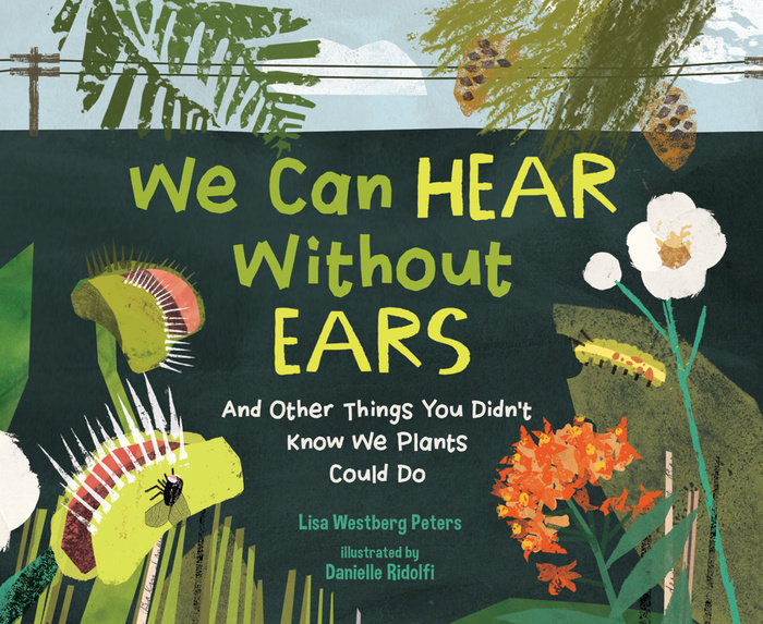 We Can Hear Without Ears