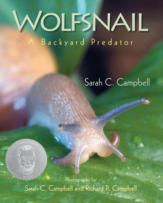 Wolfsnail By Sarah C. Campbell; Photographs by Sarah C. Campbell and Richard P. Campbell