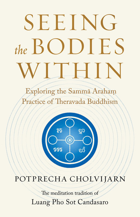 Seeing the Bodies Within