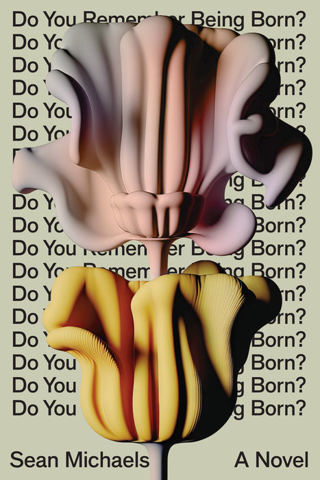 Do You Remember Being Born? By Sean Michaels