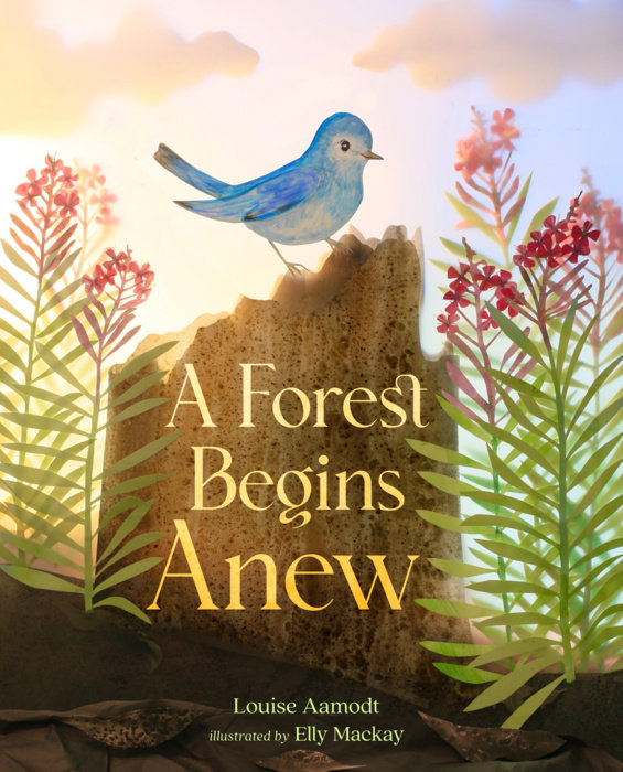 A Forest Begins Anew By Louise Aamodt; Illustrated by Elly MacKay