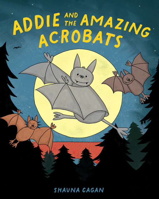 Addie and the Amazing Acrobats By Shauna Cagan