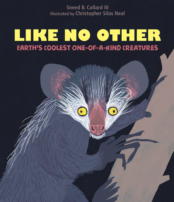Like No Other By Sneed B. Collard III; Illustrated by Christopher Silas Neal