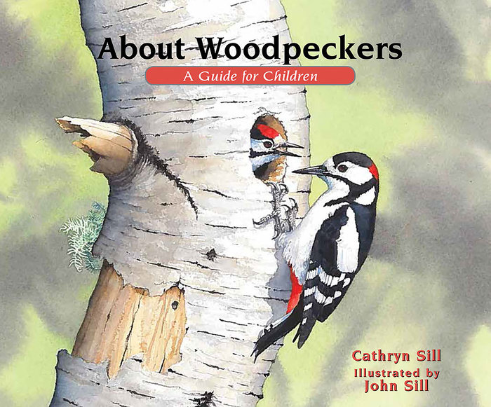 About Woodpeckers