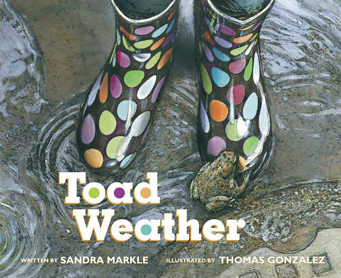 Toad Weather