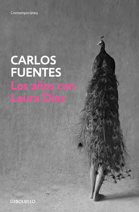 Los años con Laura Diaz / The Years with Laura Diaz