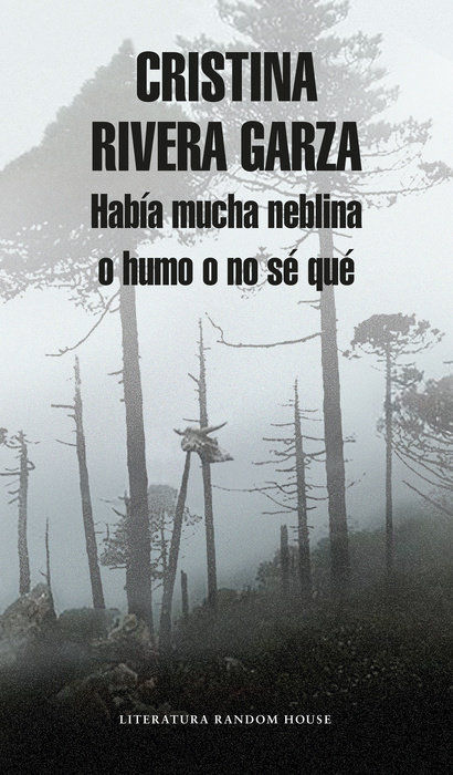 Había mucha neblina o humo o no sé qué: Caminar con Juan Rulfo / There Was a Lot of Fog, or Smoke, or I'm Not Sure What: Walking with Juan Rulfo